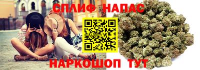 МДПВ Шелехов