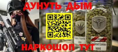 прущие грибы Шахты