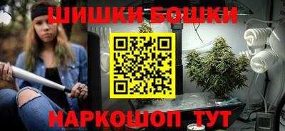прущие грибы Шахты