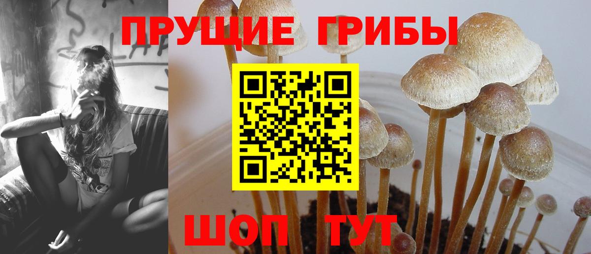 Донецк  Галлюциногенные грибы ЛСД  Псилоцибиновые грибы Psilocybine cubensis  Вход с VPN 